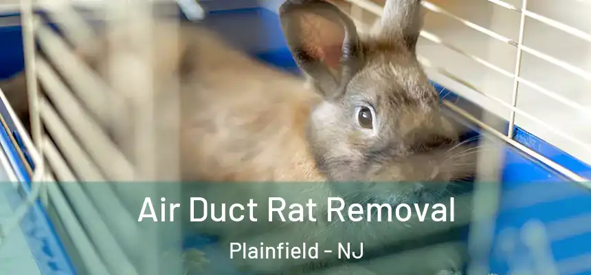  Air Duct Rat Removal Plainfield - NJ