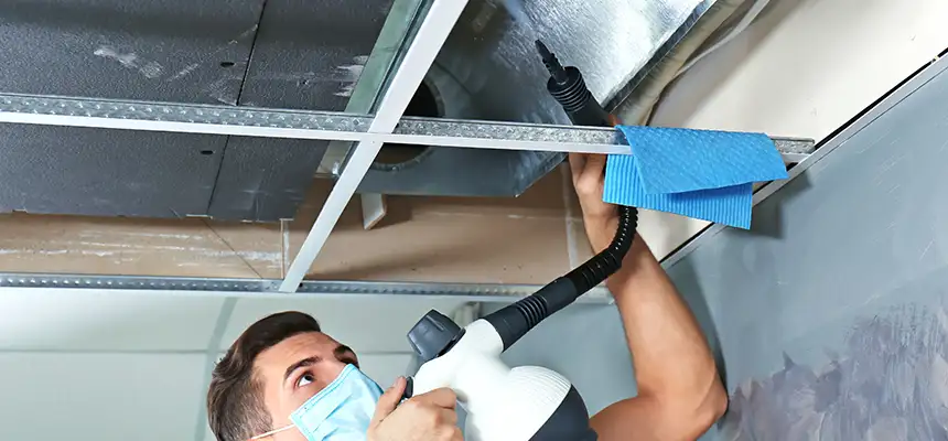 Our Air Duct Rodent Removal Services in Plainfield, NJ