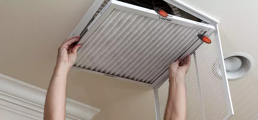 Our Insect Removal from Air Ducts Services in Plainfield, NJ