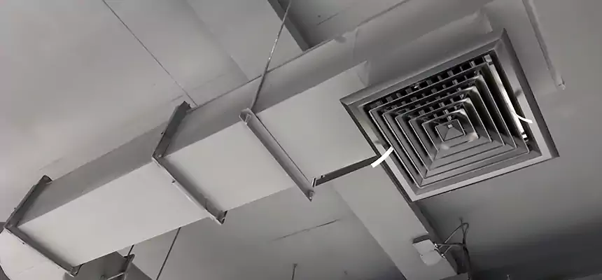 Our Pest Removal From Ducts Services in Plainfield, NJ