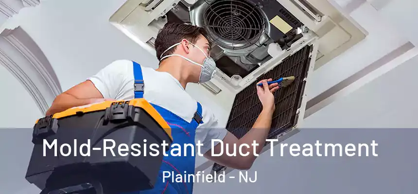  Mold-Resistant Duct Treatment Plainfield - NJ