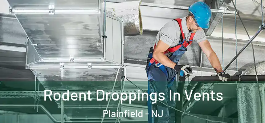  Rodent Droppings In Vents Plainfield - NJ