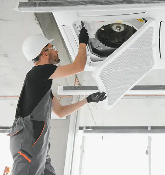 About Air Duct Rodent Removal in Plainfield, NJ