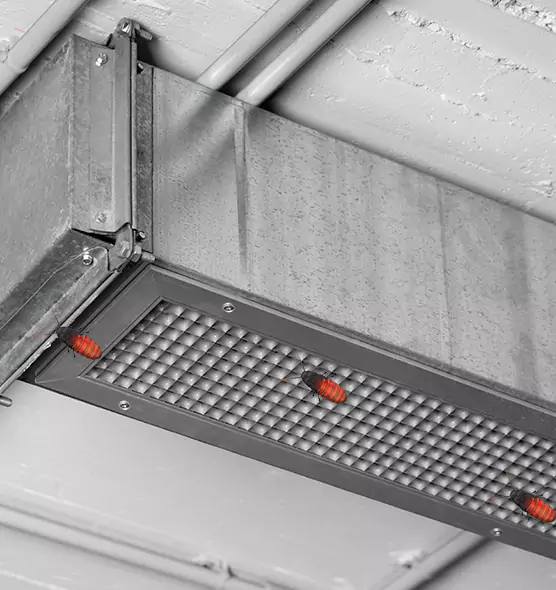 Affordable Insect Removal from Air Ducts in Plainfield, NJ
